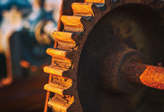 PI&Egrave;CE DE COUL&Eacute;E